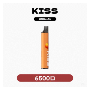 KIS5凱斯電子煙一次性/拋棄式菸桿 6500口